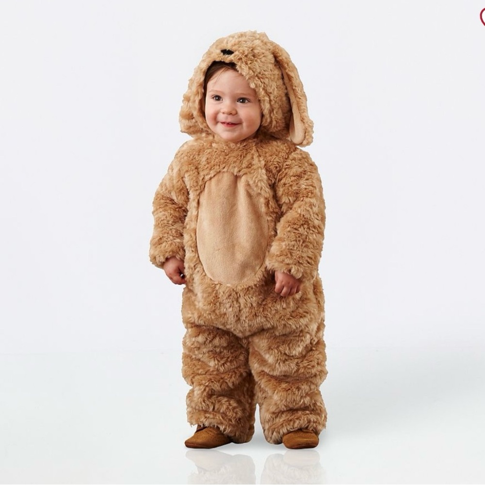 Pottery Barn Kids - Dog / Golden Retriever - Labor-doodle Costume - NWOT, 12-24M